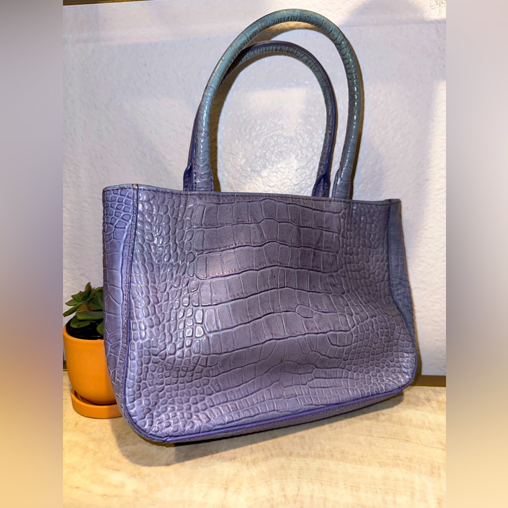 Express Y2K mini purse